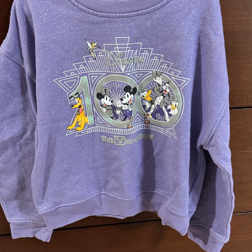 Disney World Purple Shimmer Sweatshirt 100 Year Celebration Themed